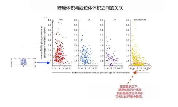 碳水化合物氧化如何影响你的耐力表现