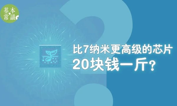 比7纳米更高级的芯片，20块钱一斤？