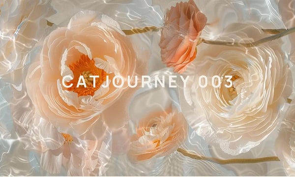 [Catjourney #003] How to change into new clothes using Midjourney and IDM-VTON