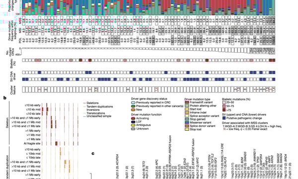 V026.熊言熊语：肠癌多篇重要研究发表，以及被忽视的肿瘤DNA甲基化特征之PMD(part2)