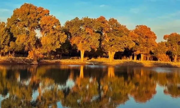 围观一场知识的“围剿”