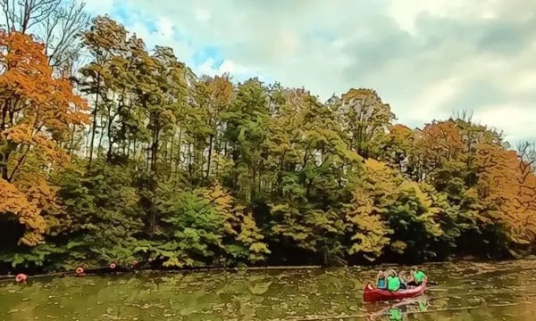 《中国小小兵》，美国妈妈的中国育儿手记