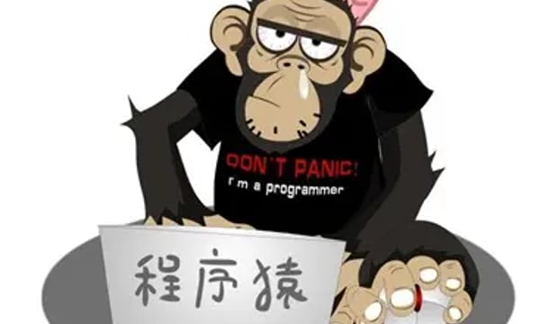 我把程序献给你