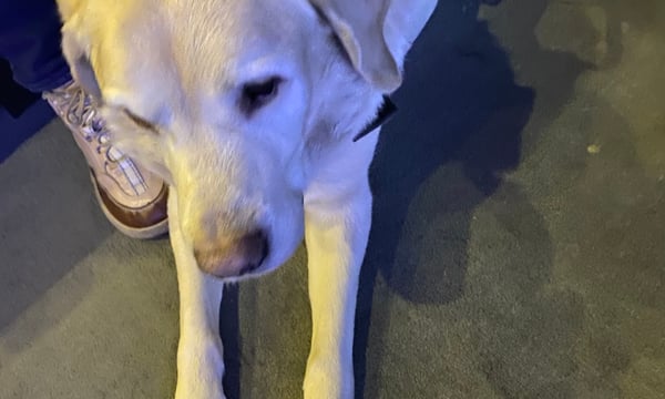 让世界更好一点点