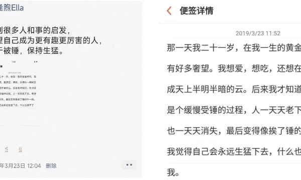 #26 做一个现实的理想主义者，生猛不认锤，理性不生硬