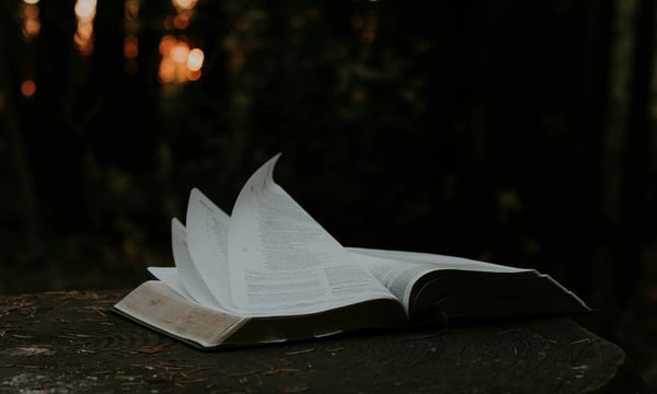 古老智慧的现代启示：在 AI 时代保持心智清明