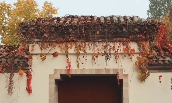 Semi-paranoid #54 淡人的浓厚阅读体验