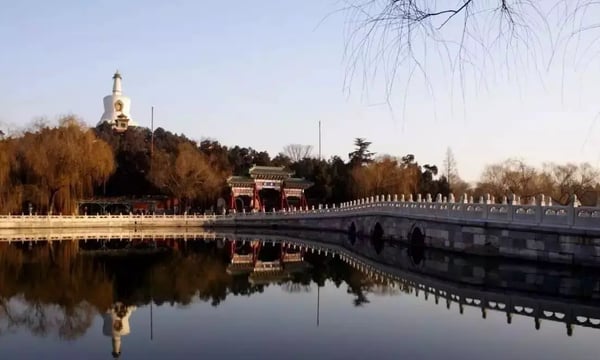 批评无须“善意”