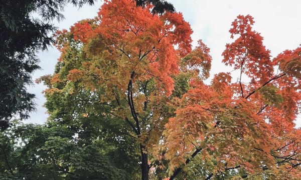 Issue#13 对抗完美主义的记录：关于前提的讨论