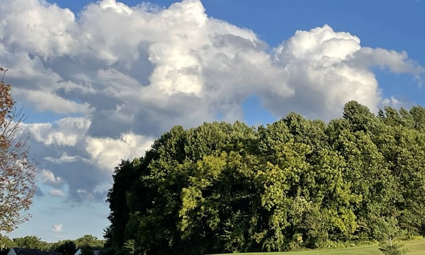 天凉好个秋 自说自话周报 084