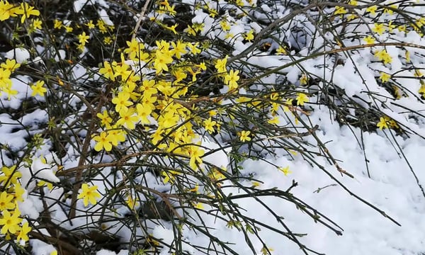 Semi-paranoid #4 读书吃饭读书