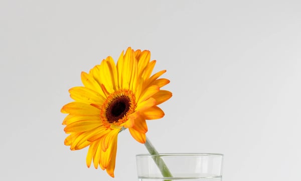 NO20 Best of article：投资成功，是一个自然的结果