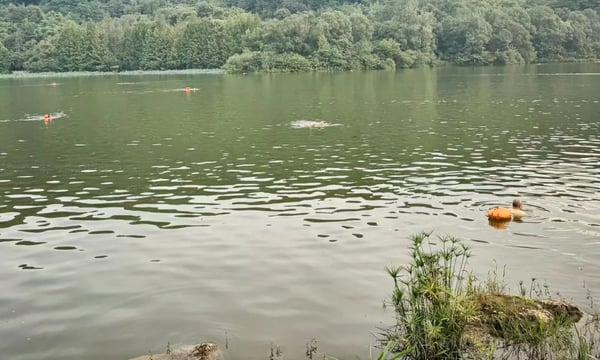 浮于表面的想法