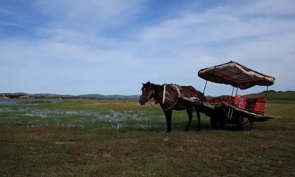 从“开发人员≠厨师”说起