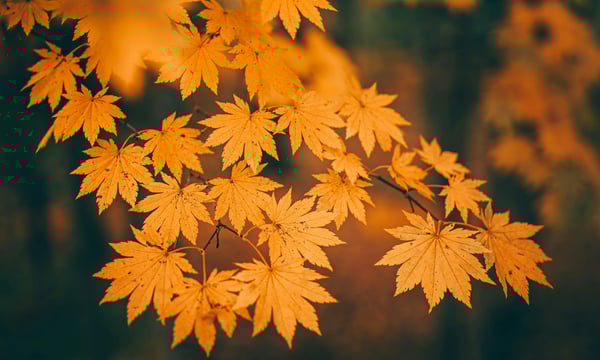 第六十五期 给生活做减法