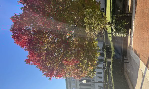 Semi-paranoid #33 记与AI交手的两件小事