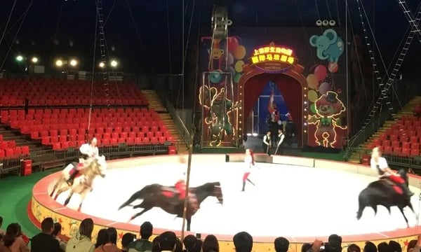 从波音737事故报道看自媒体困境