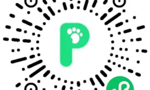 一颗小树 #13 别忘记你的热爱