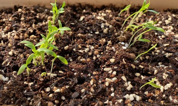 如何打造自己的核心竞争力