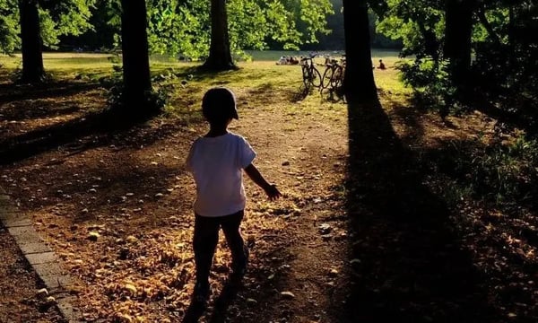 写在《拍飞奇遇记》两年之后