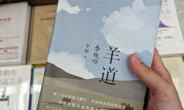 我脑袋里的怪东西 24 - 我们在努力些什么