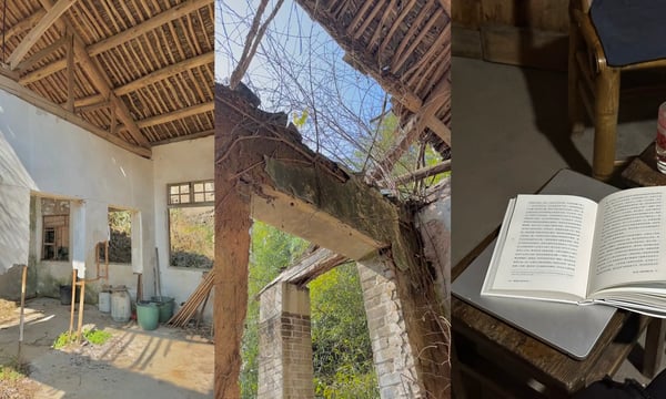 17：回家过年，做个「真人」｜曲率飞船newsletter