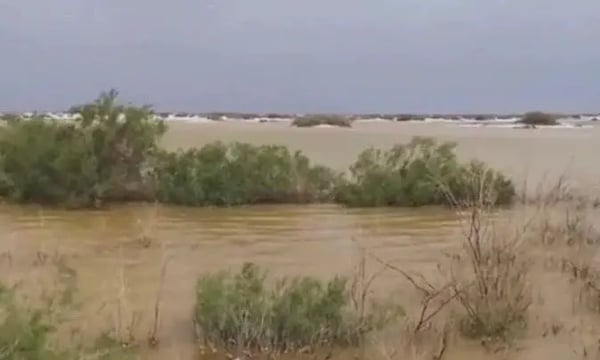 极端天气频现，连沙漠都发洪水，是要沧海桑田了吗？