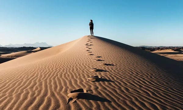 NO42 Best of article：黄峥：一路走来，我的经历与思考