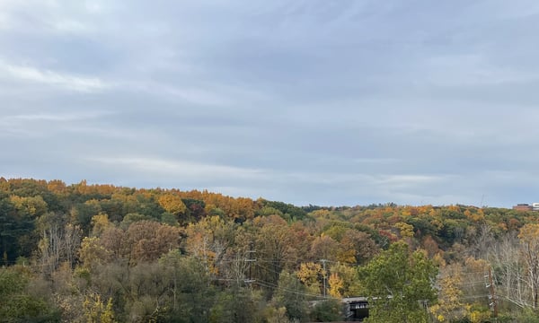 Issue#21 夏日走过山间