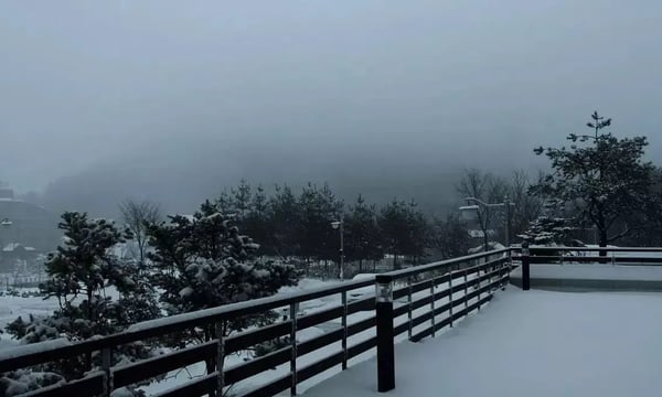 浅谈「黑匣子思维」