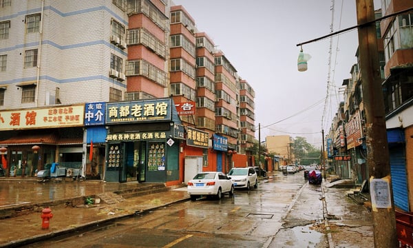 一颗小树 #33 回不去的名字叫家乡