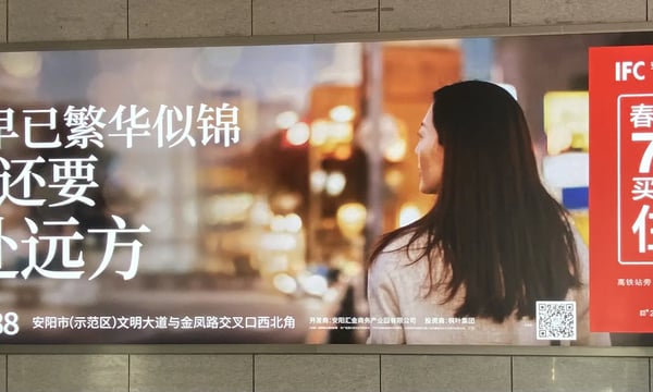 一颗小树 #48 过年杂记