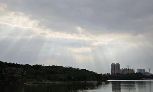 🥫阅读碎片罐头（202311月刊）| 试行错误