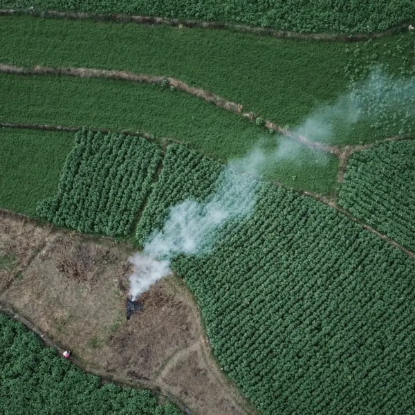 就如烈火带着浓烟