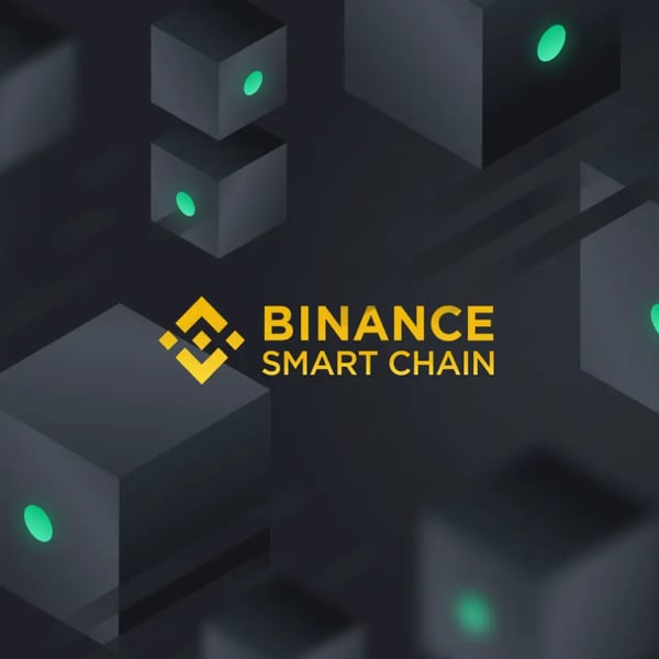 💰 How to empower Your Newsletter with BSC Blockchain Payments