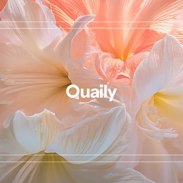 🐦 Quaily 的替代品