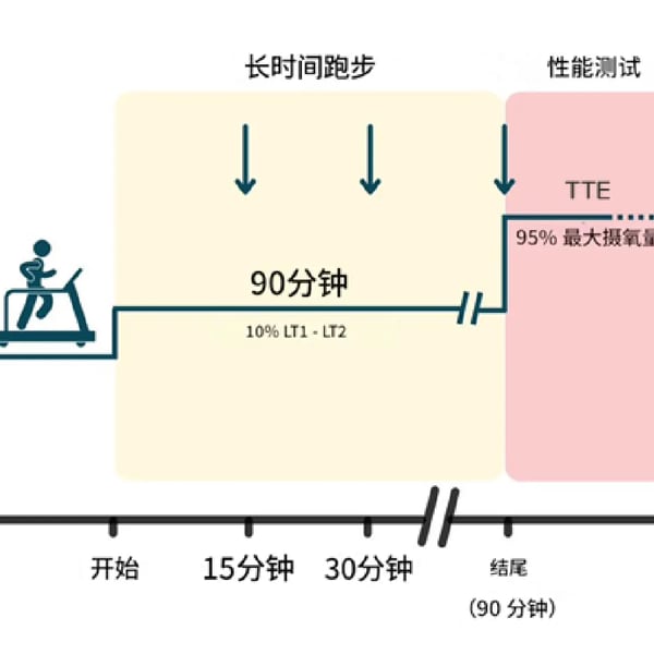 「实证有效」这种跳跃训练竟能让跑步耗氧降低8%？疲劳力竭时间延长35%！
