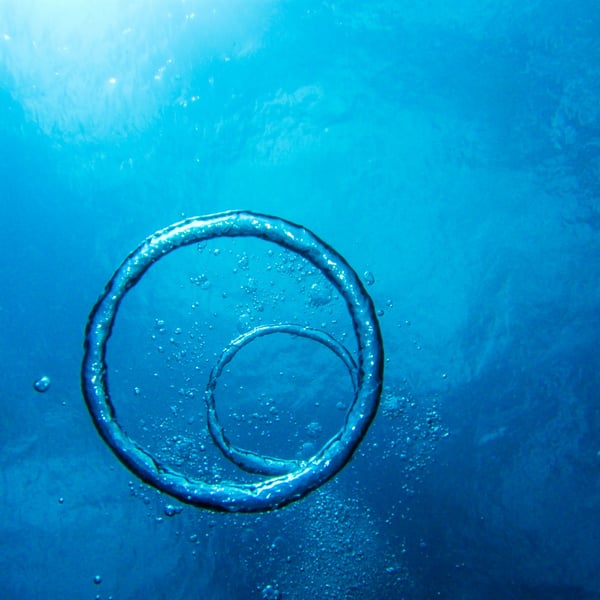 天予弗取，必受其咎