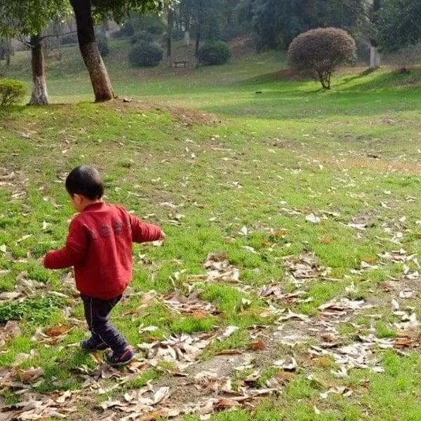 回家过年，谈点感想