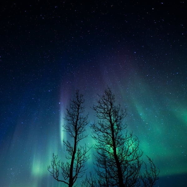 NO53 提高生活质量的小技巧（下）