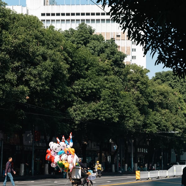 我脑袋里的怪东西 19 - 重走高中路（同福中路西行段）