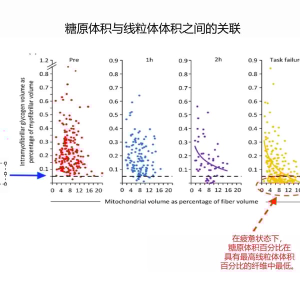 碳水化合物氧化如何影响你的耐力表现