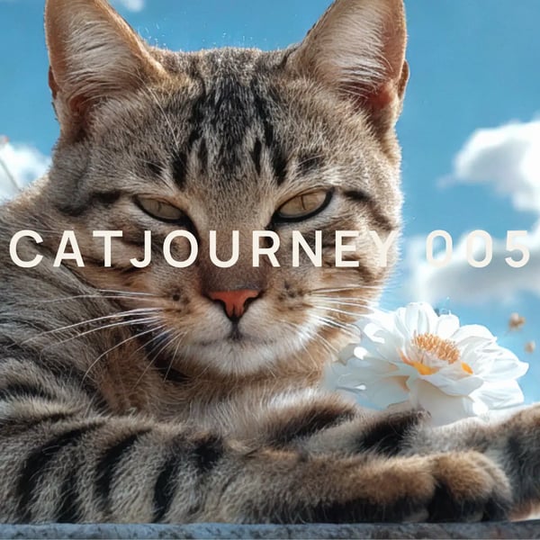 [Catjourney #005] How to Use Magnific Relight to Transform Selfies into Professional Portraits & Create Product Photos