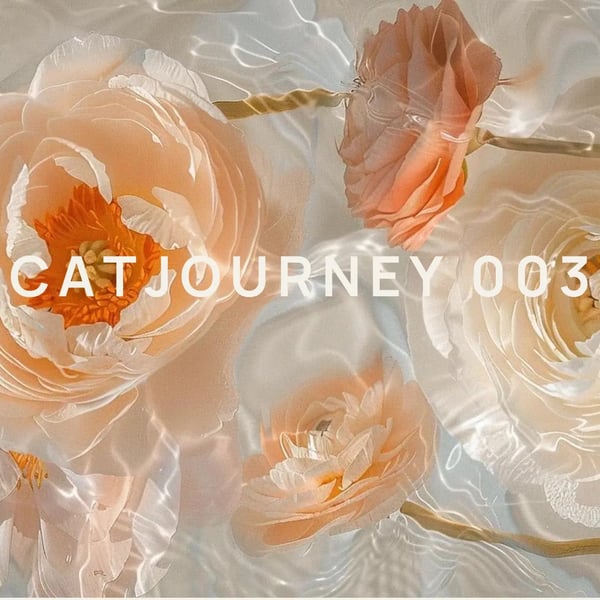 [Catjourney #003] How to change into new clothes using Midjourney and IDM-VTON