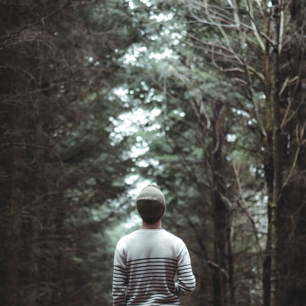 Book of Golden Precepts