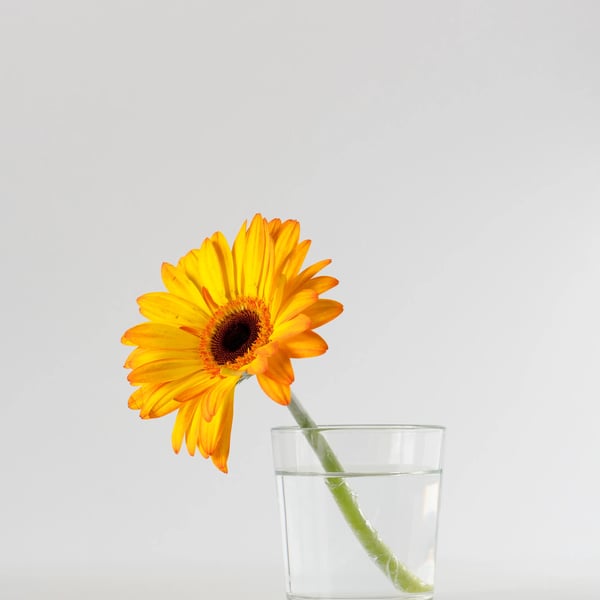 NO20 Best of article：投资成功，是一个自然的结果