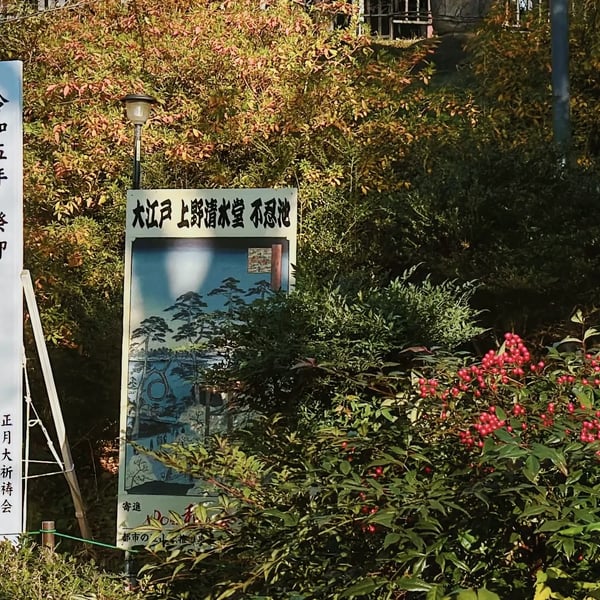 Vol 55 新年篇 初到日本的30天