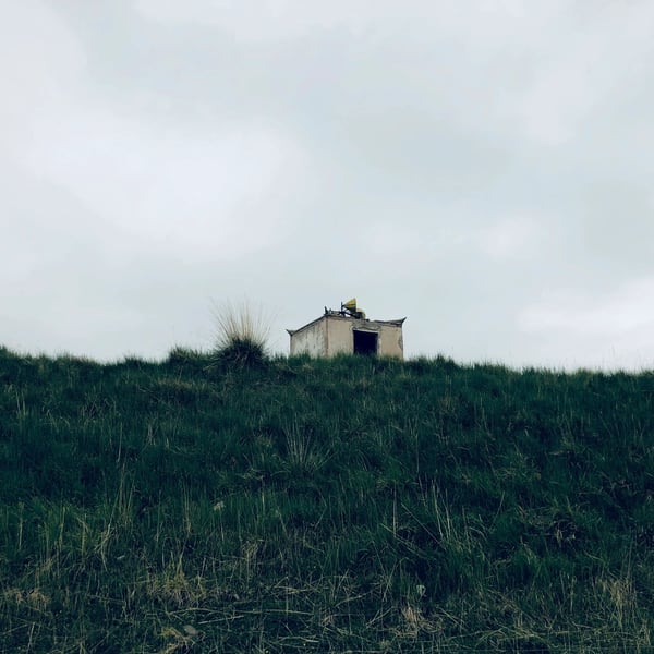 读记｜二〇二四・二：拖翁、房思琪、送快递等