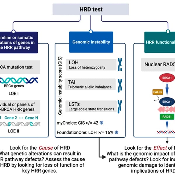 V018plus.熊言熊语：biomarker系列-同源重组修复缺陷HRD (part3 产品总览)