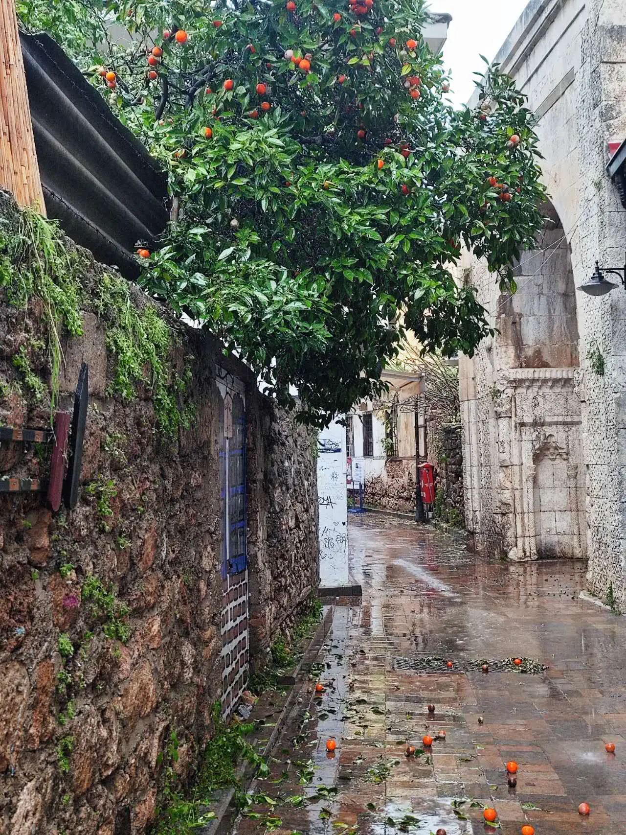 An image to describe post